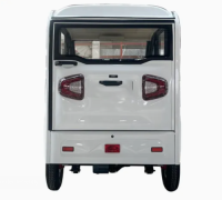 2024 Large Discount Taxi Use 5 Doors Enclosed Electric Tricycle for Delivery