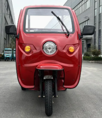 Low Price OEM Three Wheel Motorcycle New Cargo Electric Tricycle Trike with Cabin Roof