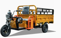 Factory Price 1500W Customize Cheap E-Trikes 3 Wheel Cargo Electric Tricycles Motorcycle