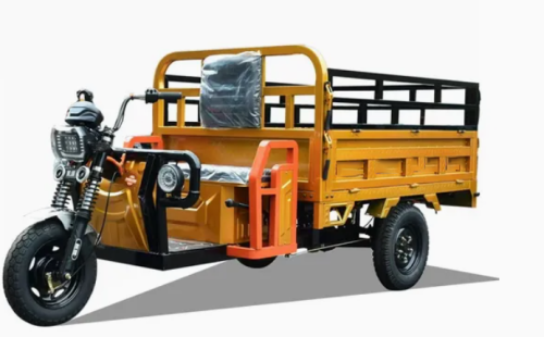 Factory Price 1500W Customize Cheap E-Trikes 3 Wheel Cargo Electric Tricycles Motorcycle