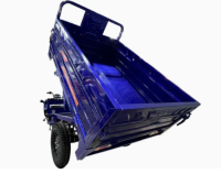 1.8m Fully Automatic Robot Welding High-End Electric Cargo Tricycle for Farming