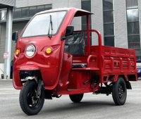 Low Price OEM Three Wheel Motorcycle New Cargo Electric Tricycle Trike with Cabin Roof