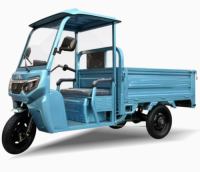 Factory Price 1500W Customize Cheap E-Trikes 3 Wheel Cargo Electric Tricycles Motorcycle