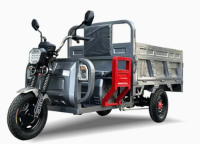 EEC CE Approved China Factory 1500W Motor 1.6m Cargo Box Adult 3 Wheel Electric Sport Mountain Rickshaw Cargo Tricycle