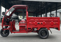 Low Price OEM Three Wheel Motorcycle New Cargo Electric Tricycle Trike with Cabin Roof