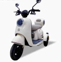 Hot Style 48V 60V 600W Maximum Speed 50km/H 3 Wheels Scooter Electric Tricycle for Adults