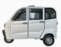 2024 Large Discount Taxi Use 5 Doors Enclosed Electric Tricycle for Delivery