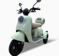 Hot Style 48V 60V 600W Maximum Speed 50km/H 3 Wheels Scooter Electric Tricycle for Adults