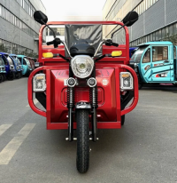 EEC CE Approved China Factory 1500W Motor 1.6m Cargo Box Adult 3 Wheel Electric Sport Mountain Rickshaw Cargo Tricycle