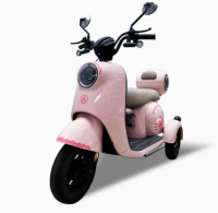 Hot Style 48V 60V 600W Maximum Speed 50km/H 3 Wheels Scooter Electric Tricycle for Adults