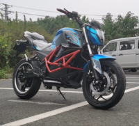 LCD meter&72V battery&TDR51Z枭风(Owl Wind)