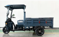 Factory Price 1500W Customize Cheap E-Trikes 3 Wheel Cargo Electric Tricycles Motorcycle