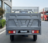 EEC CE Approved China Factory 1500W Motor 1.6m Cargo Box Adult 3 Wheel Electric Sport Mountain Rickshaw Cargo Tricycle