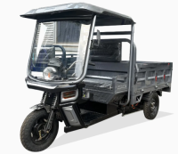 Factory Price 1500W Customize Cheap E-Trikes 3 Wheel Cargo Electric Tricycles Motorcycle